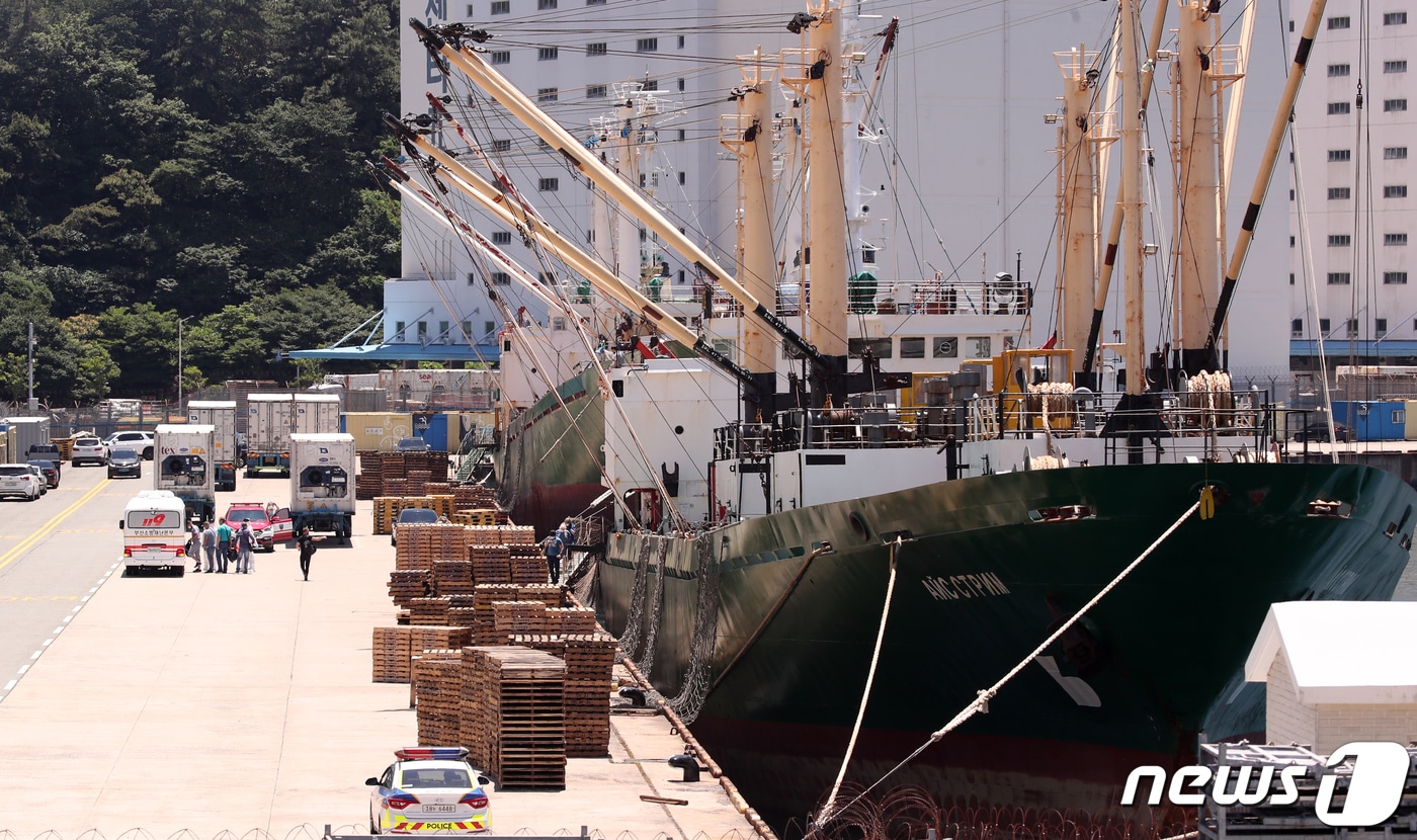  부산 감천항에 정박한 러시아 국적 냉동화물선.&#40;사진은 기사 내용과 관련 없음.&#41;2020.6.23/뉴스1 ⓒ News1 