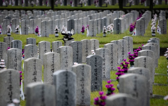 6·25 70주년인 6월 25일 국립현충원 모습. ⓒ News1 이재명 기자