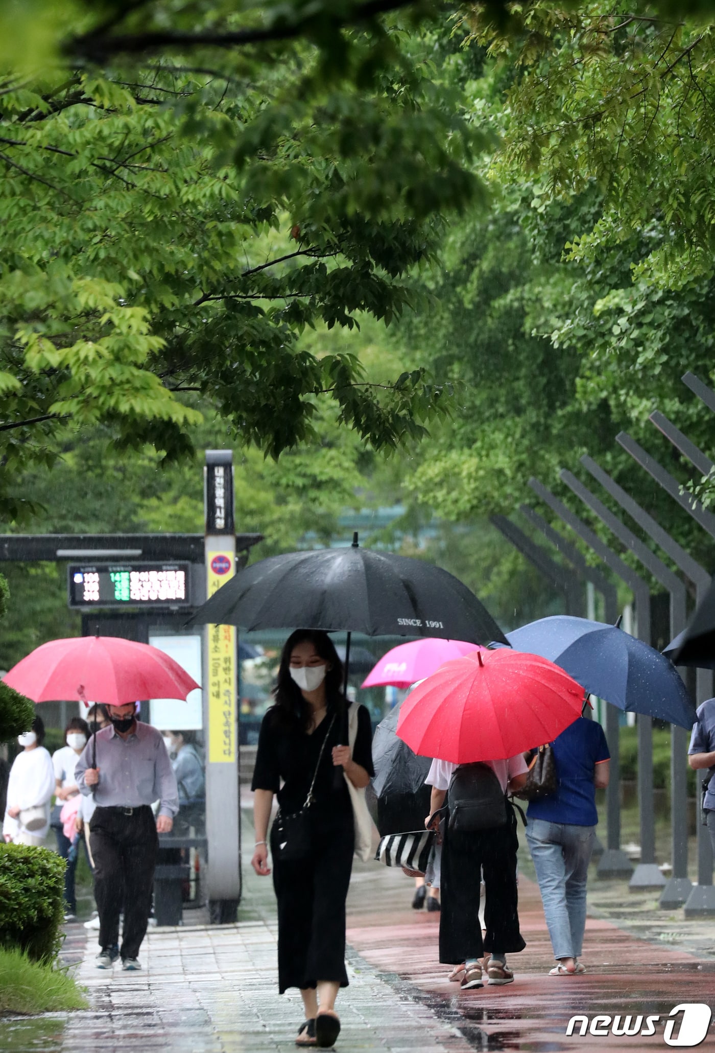 토요일인 19일 충북과 세종은 대체로 흐리고 최대 60㎜의 비가 내리겠다.&#40;사진은 기사와 무관함&#41;/뉴스1