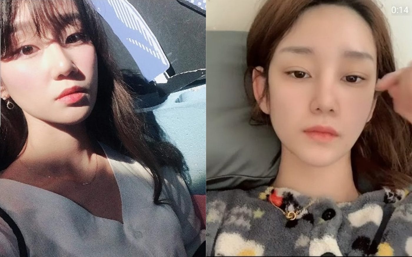 모델 정담이 인스타그램 갈무리 ⓒ 뉴스1