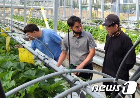 27일 충북 충주시농업기술센터가 청년귀농인을 집중적으로 육성한다고 밝혔다. 사진은 시설채소 하우스 교육 모습(충주시 제공)2020.7.27/ⓒ 뉴스1