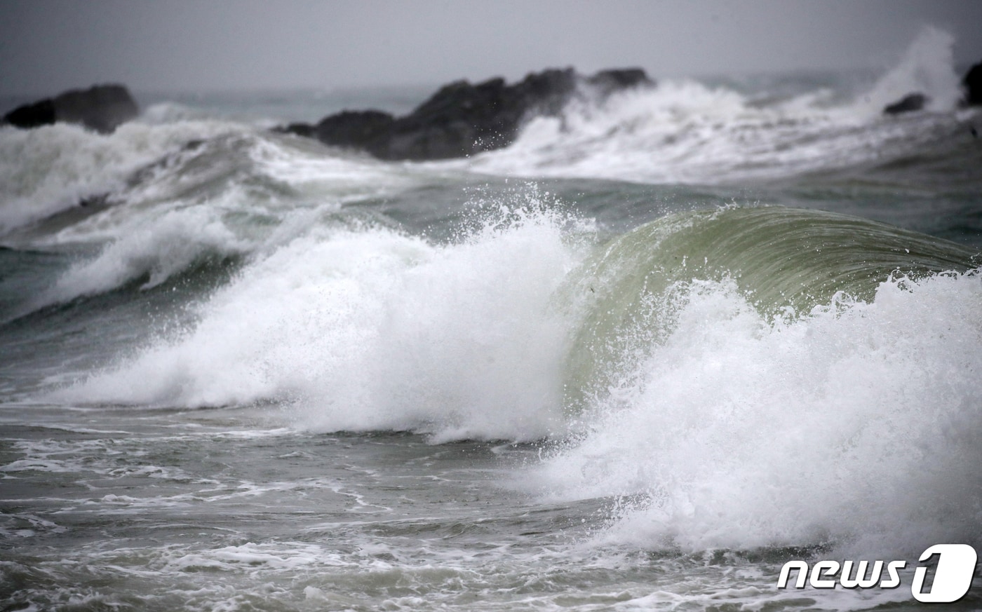 10일 오후 울산시 동구 주전해안에 제5호 태풍 '장미'의 영향으로 거센 파도가 몰아치고 있다. 2020.8.10/뉴스1 ⓒ News1 윤일지 기자