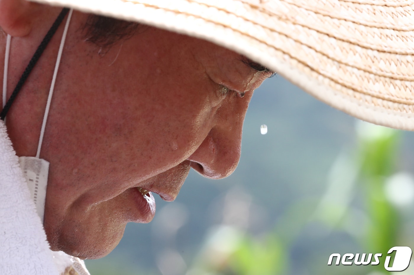 지난해 8월 13일 당시 이낙연 더불어민주당 당대표 후보가 수해 피해를 입은 충남 금산 제원면 대산리 인삼밭을 찾아 복구작업을 하고 있다. 2020.8.13/뉴스1 ⓒ News1 김기태 기자