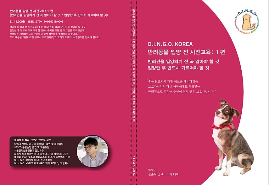 반려동물 입양 전 사전교육. 사진 딩고코리아 대표 ⓒ 뉴스1