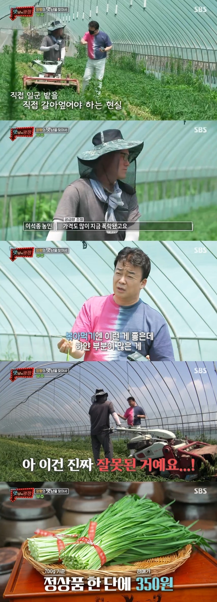 SBS '맛남의 광장' 캡처 ⓒ 뉴스1