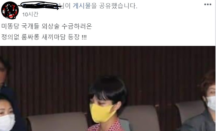 여권 지지자 중 일부가 SNS글을 통해 원피스 차림의 류호정 정의당 의원을 '룸살롱 새끼마담'으로 비하하는 등 도를 넘어선 비난을 퍼부어 오히려 민주당을 난처하게 만들었다. ⓒ 뉴스1