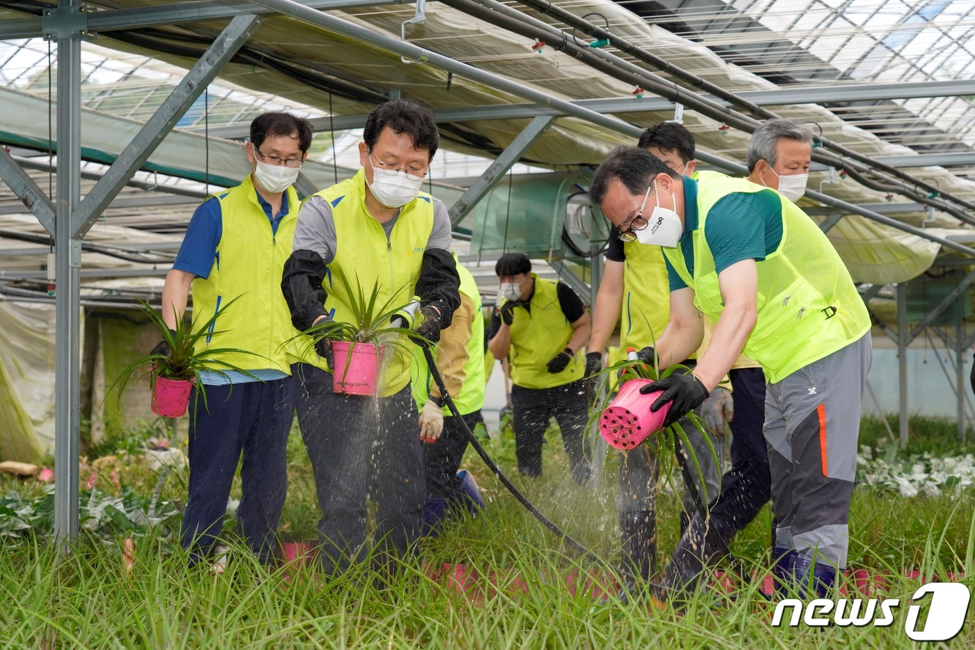 지난 7일, 경기 용인 소재 화훼 농가에서 김광수 회장(왼쪽 2번째) 등 농협금융 임직원 봉사단들이 수해를 입은 농가의 신속한 피해복구를 위해 토사로 오염된 화분 세척 작업을 하고 있다. ⓒ 뉴스1