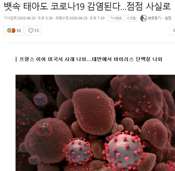 지난 8월 한 언론매체 인터넷 뉴스에 '뱃속 태아'라는 잘못된 제목이 나왔다. (포털사이트 뉴스 화면 갈무리.) 