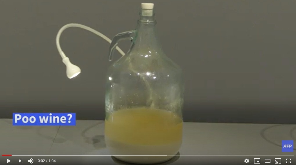 한국의 똥술-AFP 유튜브 동영상 캡처