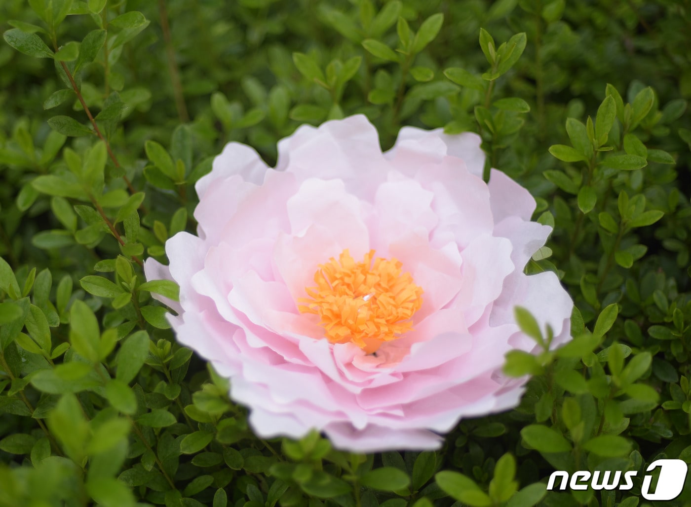 한지꽃 무드등ⓒ 뉴스1