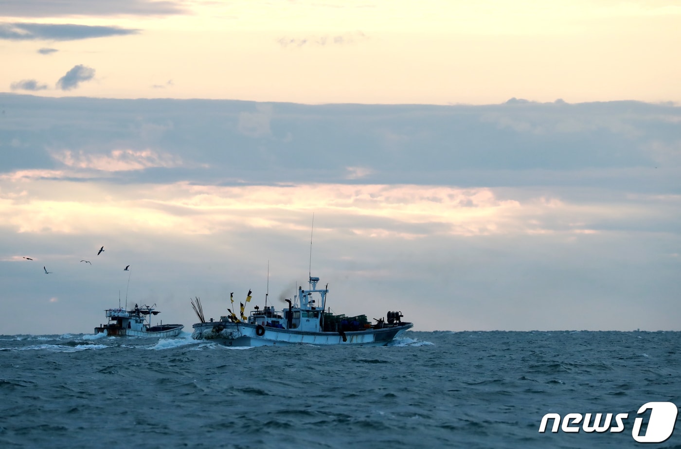 꽃게 잡이에 나선 어선들(사진은 기사 내용과 무관함) / 뉴스1 ⓒ News1