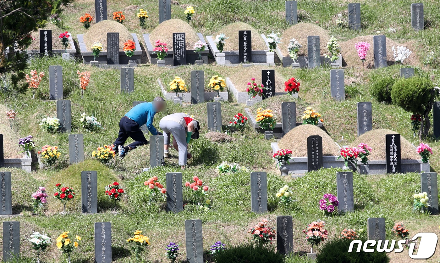  부산 영락공원을 찾은 성묘객들이 벌초를 하고 있다. 2020.9.29/뉴스1 ⓒ News1 