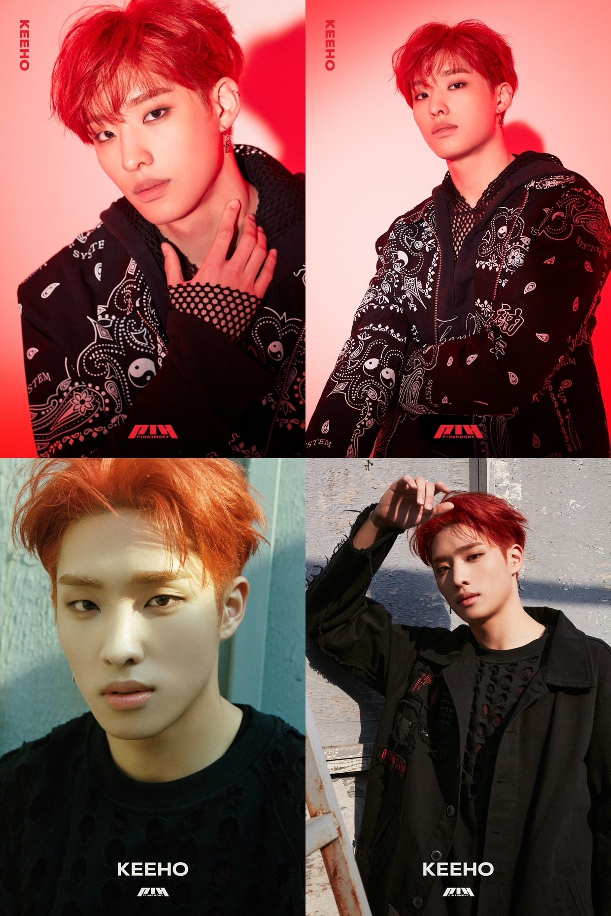 피원하모니 기호/FNC엔터테인먼트 ⓒ 뉴스1