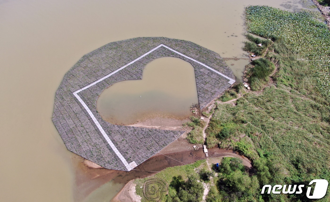 춘천 인공 수초섬.(뉴스1 DB)