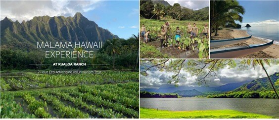 아웃리거 리조트가 하와이의 '말라마 하와이' 캠페인에 동참했다.