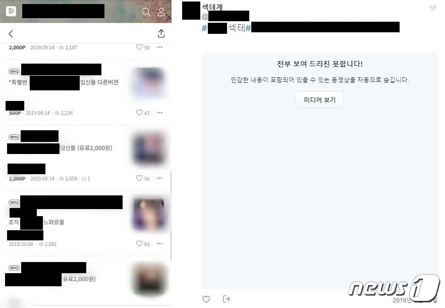 실존 아이돌을 동성애 음란창작물의 소재로 수익사업을 하는 알페스(왼쪽)와 남성 아이돌 음성을 신음소리로 합성해 유포하는 '섹테'(오른쪽) 사례 ⓒ 뉴스1