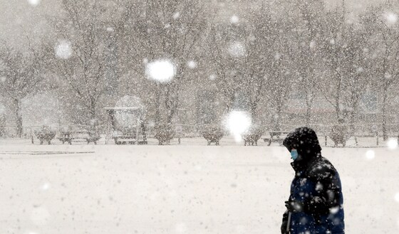 청주 눈 자료사진/뉴스1