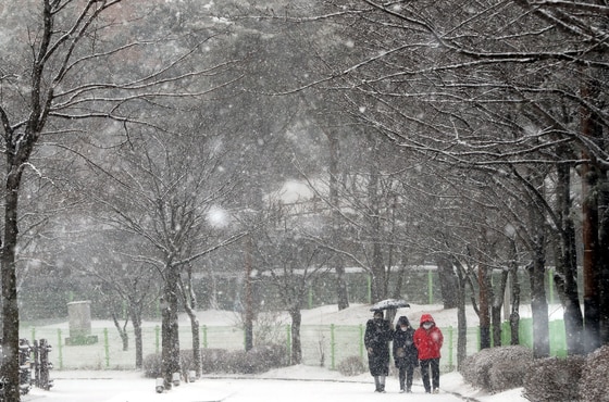 청주 눈 자료사진/News1 김용빈 기자