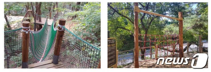 서대문구 백련산매바위 유아숲체험원 모습(서대문구제공)ⓒ 뉴스1