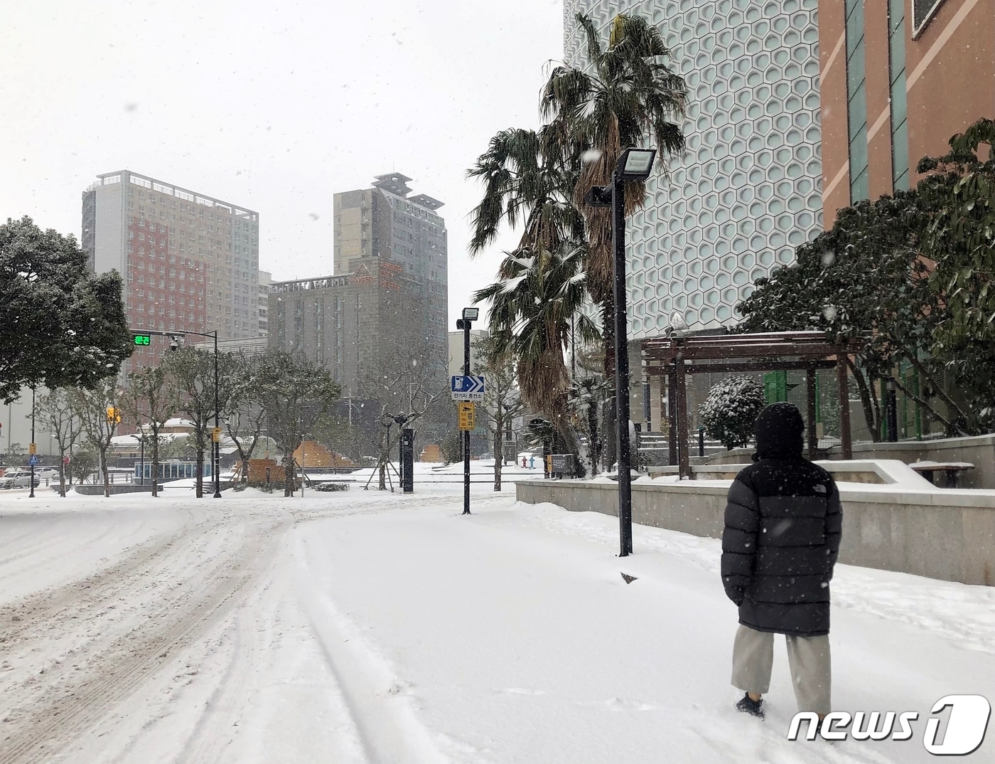 제주도에 눈보라가 몰아친 지 이틀째인 8일 오후 제주시내 도로 곳곳에 눈이 쌓여 시민들이 불편을 겪고 있다.2021.1.8/뉴스1 ⓒ News1 홍수영 기자