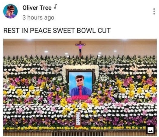 올리버 트리 트위터 ⓒ 뉴스1