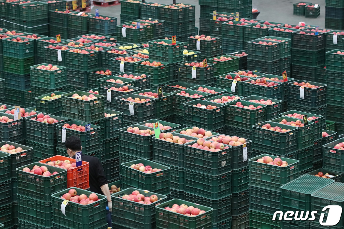 7일 오후 경북 안동시 농산물도매시장 경매장에 양광·감홍·시나노 골드 등 지역 과수농가에서 올가을 수확한 햇사과가 수북이 쌓여 있다. 2021.10.7/뉴스1 ⓒ News1 공정식 기자