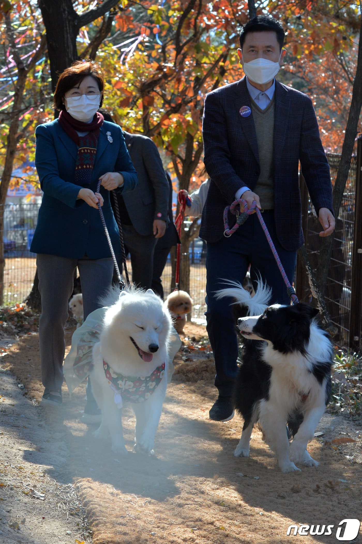 이강덕 경북 포항시장과 김정재 국민의힘(포항·북) 의원이  남구 오천읍 문덕리 포항반려동물테마공원에서 강아지들과 함께 산책하고있는 모습. 뉴스1 자료, 재판매 및 DB금지)ⓒ News1 최창호 기자