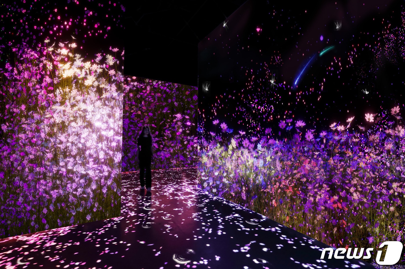 아르떼뮤지엄강릉 플라워.(뉴스1 DB)