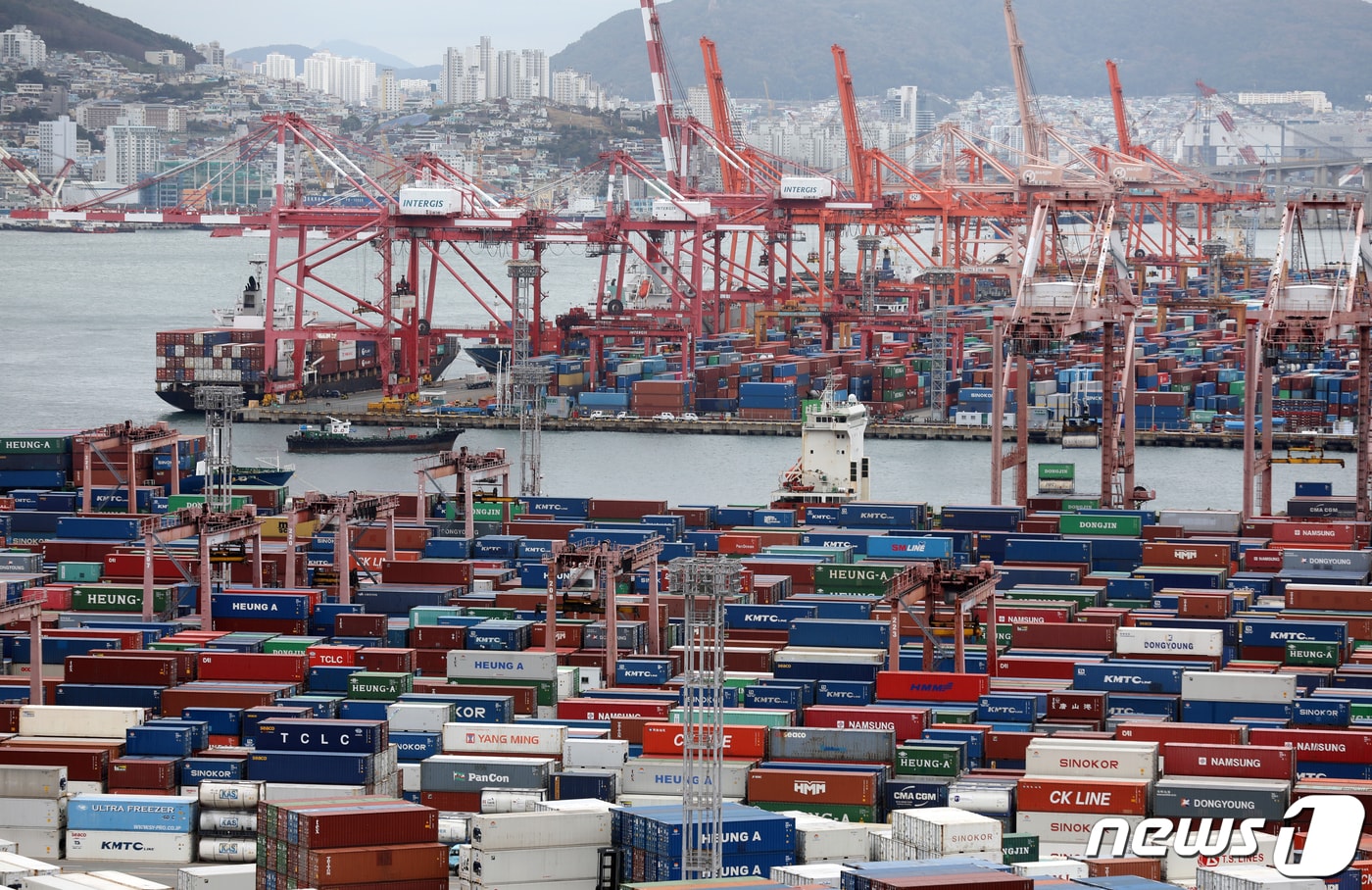부산항 감만부두 전경. (뉴스1 DB)2021.12.21/뉴스1
