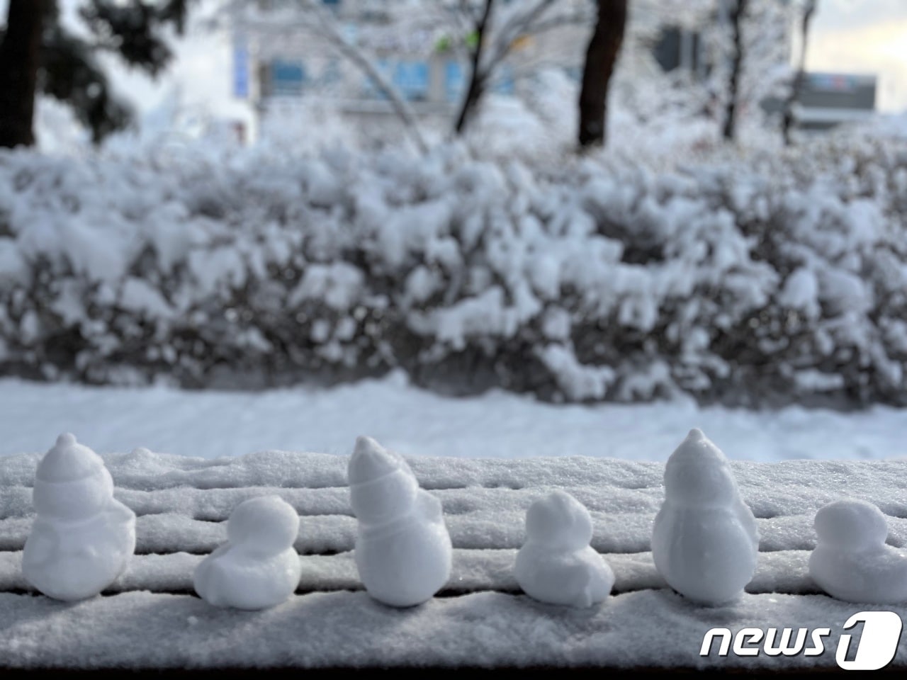 강릉 찾아온 눈사람.(뉴스1 DB)ⓒ News1 윤왕근 기자