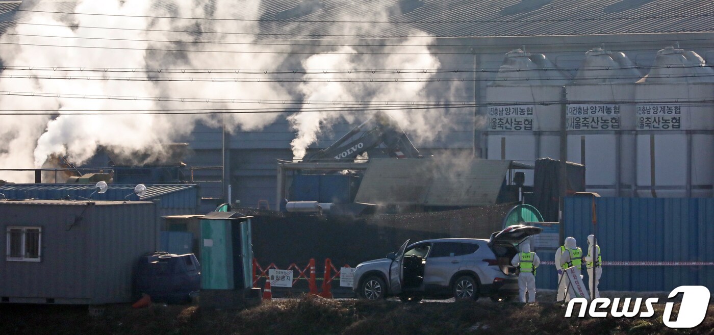 가축위생방역지원본부 관계자들이 6일 충남 천안에 위치한 산란계 농장에서 지난 5일 고병원성 조류인플루엔자(AI)가 확진됨에 따라 살처분 작업을 하고 있다. 2021.12.6/뉴스1 ⓒ News1 장수영 기자