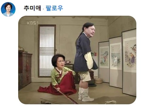 지난 8일 추미애 전 법무부 장관이 김성회 열린 민주당 대변인 페이스북에 댓글 형태로 올린 합성사진. 추 전 장관은 윤석열 후보 종아리를 회초리로 때린 사진에 대해 무소불위의 검찰 잘못을 꾸짖기 위해서였다고 설명했다. ⓒ 뉴스1