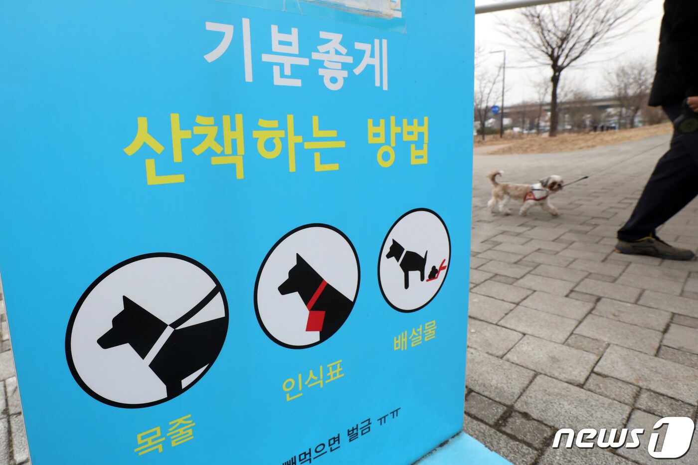 14일 오후 서울 영등포구 한강시민공원에서 반려견이 산책을 하고 있다. 2021.2.14/뉴스1 ⓒ News1 