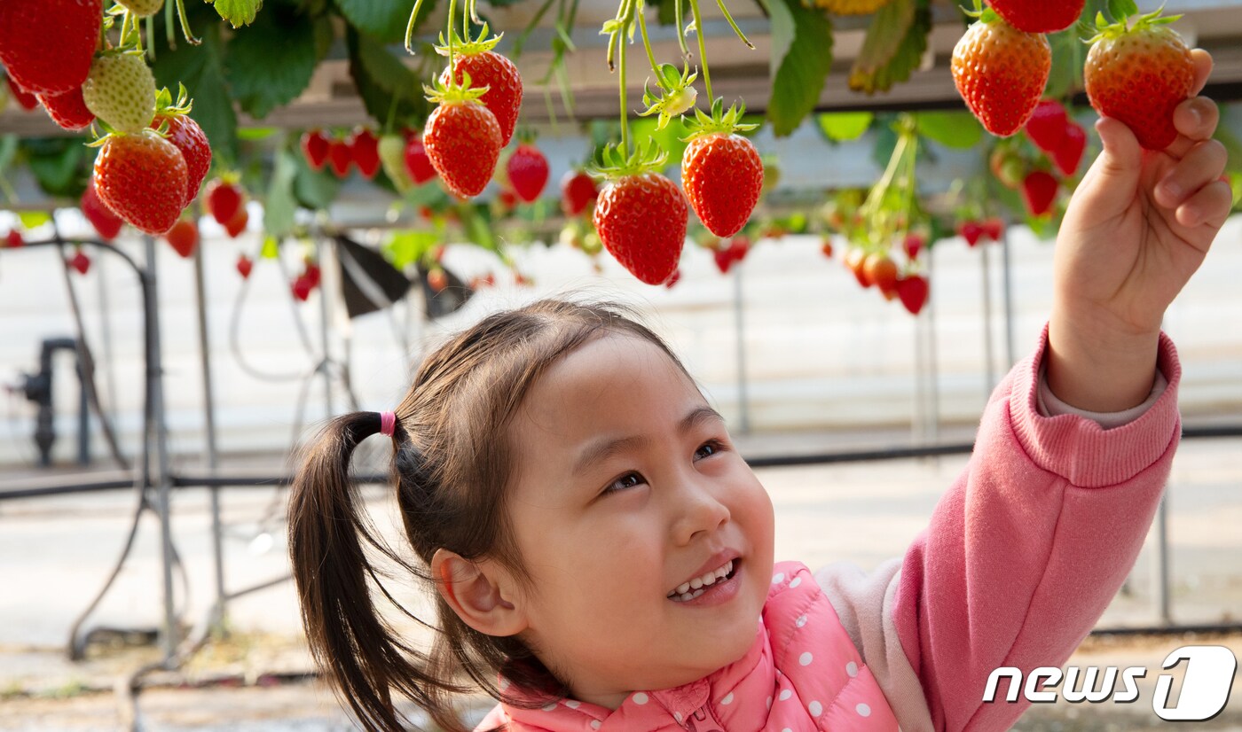 (사진은 기사 내용과 무관함) / 뉴스1 ⓒ News1