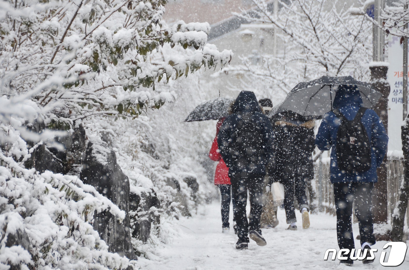 폭설.(자료 사진)ⓒ 뉴스1