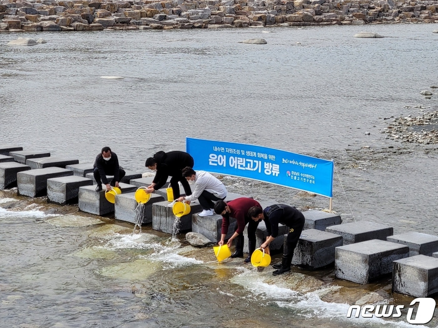 산청군은 11일 경호강과 덕천강 일원에 은어치어 10만미를 방류했다.(산청군 제공) ⓒ 뉴스1