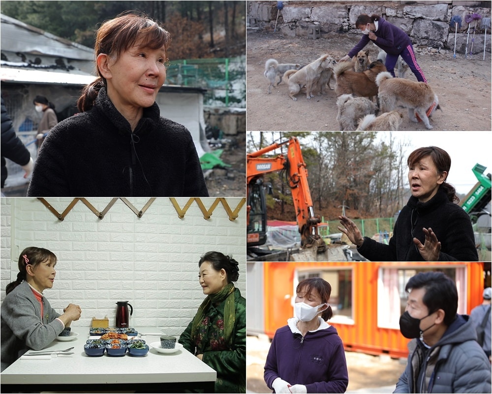 TV조선 '스타다큐 마이웨이' ⓒ 뉴스1