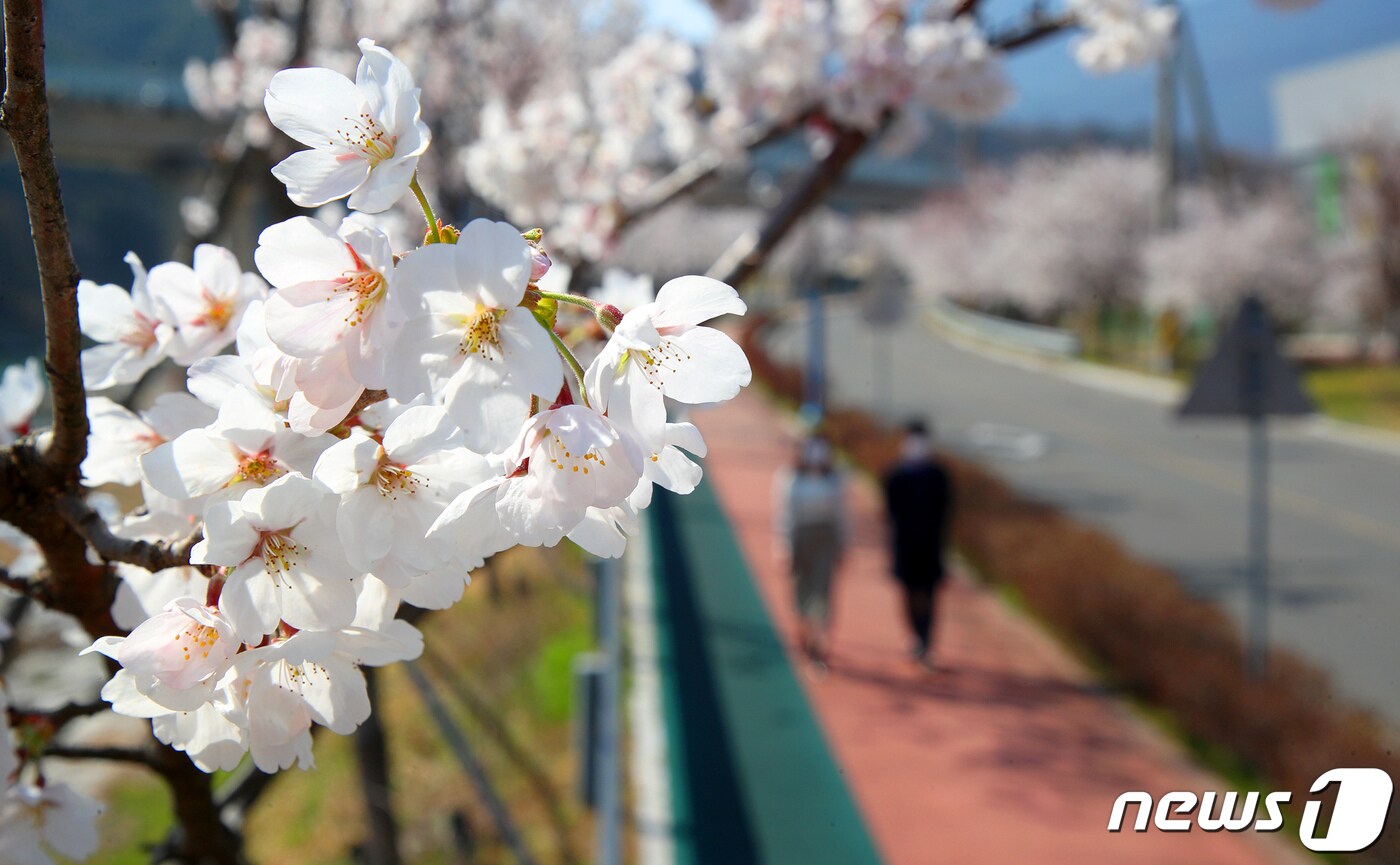 자료사진./뉴스1 DB