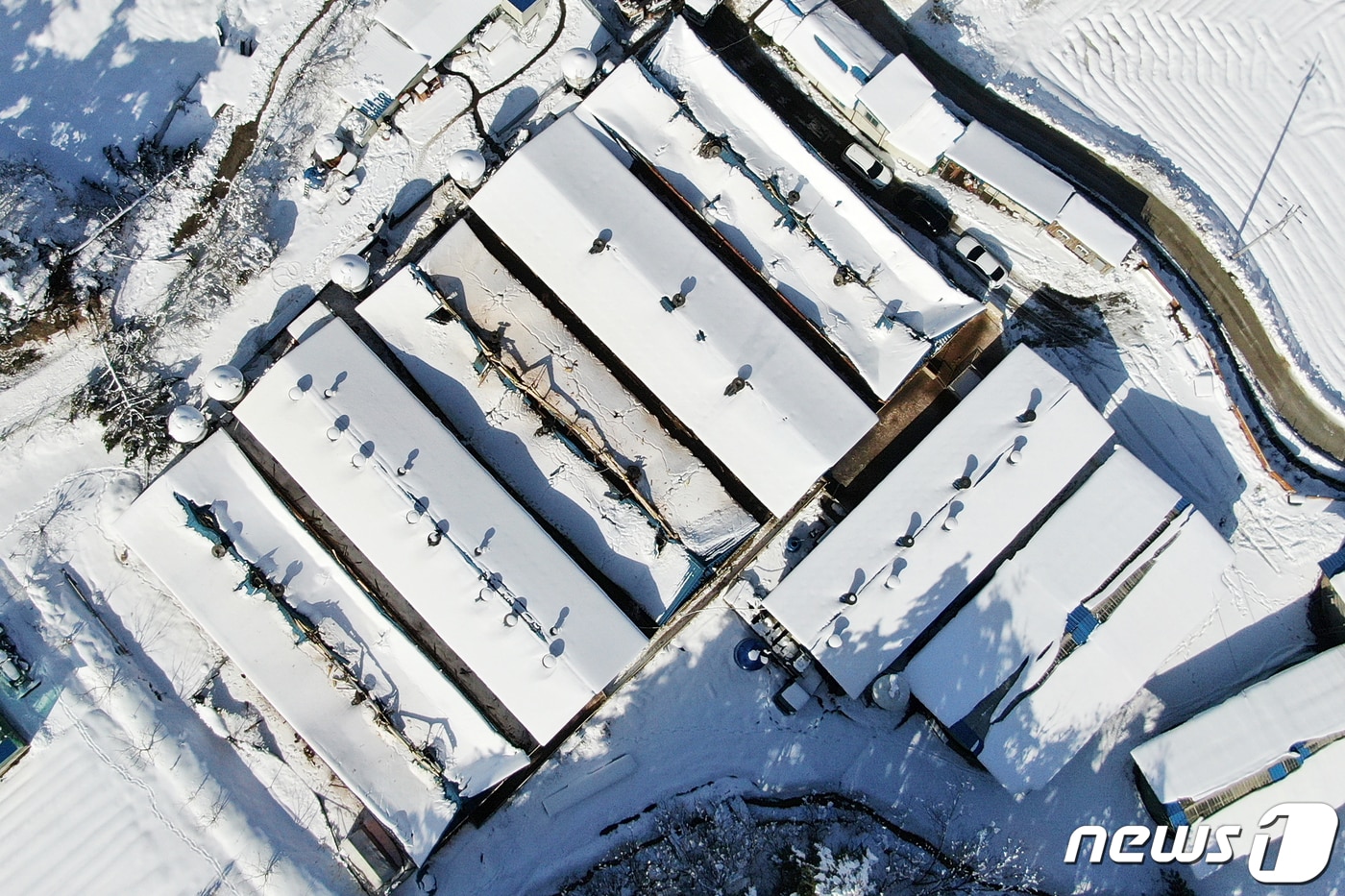 폭설로 인해 축사 지붕이 무너져 있다. 2021.3.3/뉴스1 ⓒ News1 민경석 기자