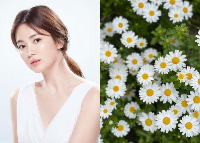 송혜교 SNS 갈무리 ⓒ 뉴스1