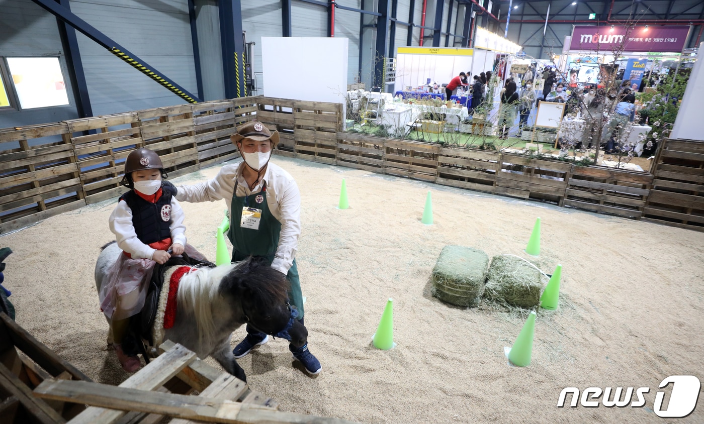 승마체험 자료사진. 2021.4.1/뉴스1 ⓒ News1 