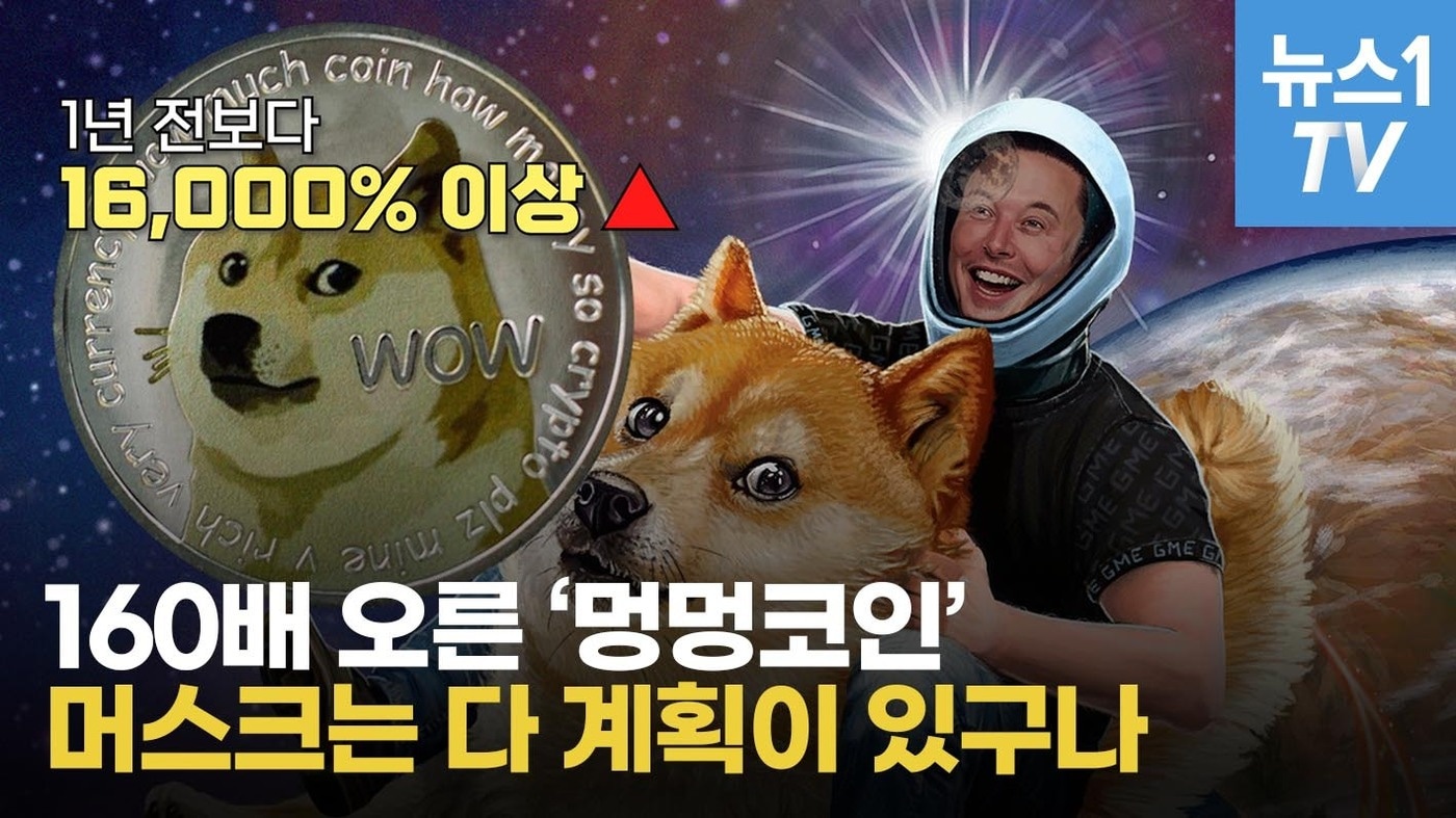 [영상] 암호화폐 급락, 홀로 살아남은 도지코인…코스피 거래량 추월 - 뉴스1