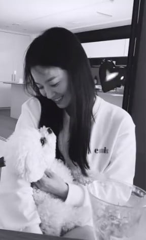 송혜교 인스타그램 스토리 캡처 ⓒ 뉴스1