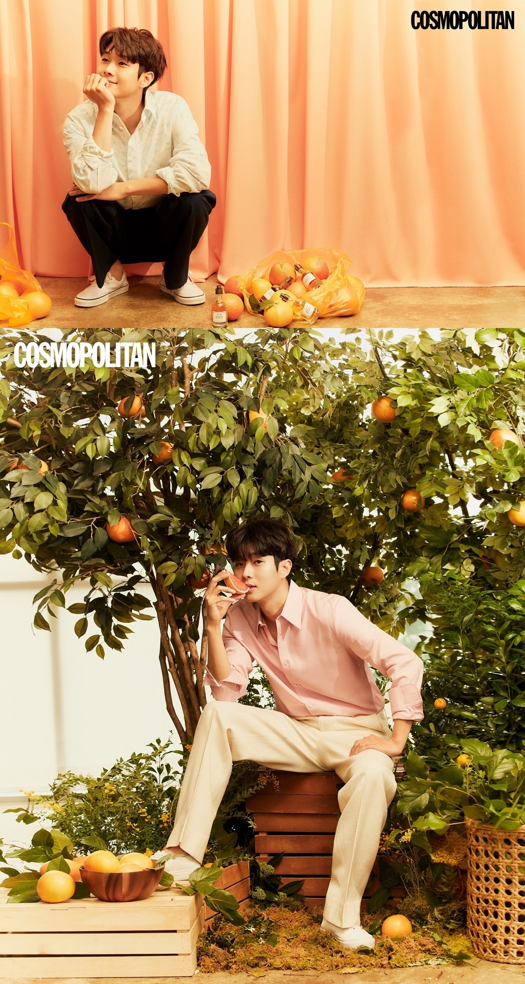 최우식/코스모폴리탄ⓒ 뉴스1