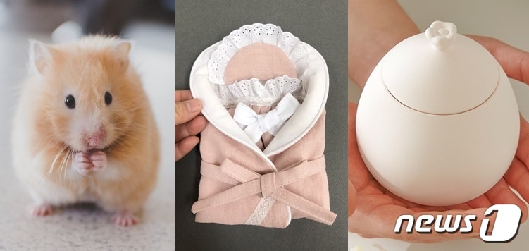 21그램은 반려동물 장례식장 중 최초로 '소동물 장례 서비스'를 시작했다고 7일 밝혔다. 사진 21그램 제공 ⓒ 뉴스1