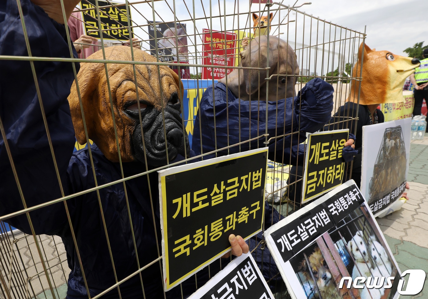 동물보호단체 개도살금지법 국회통과 촉구 퍼포먼스 모습 &#40;자료사진&#41; &#40;사진은 기사 내용과 무관함&#41; / 뉴스1 ⓒ News1