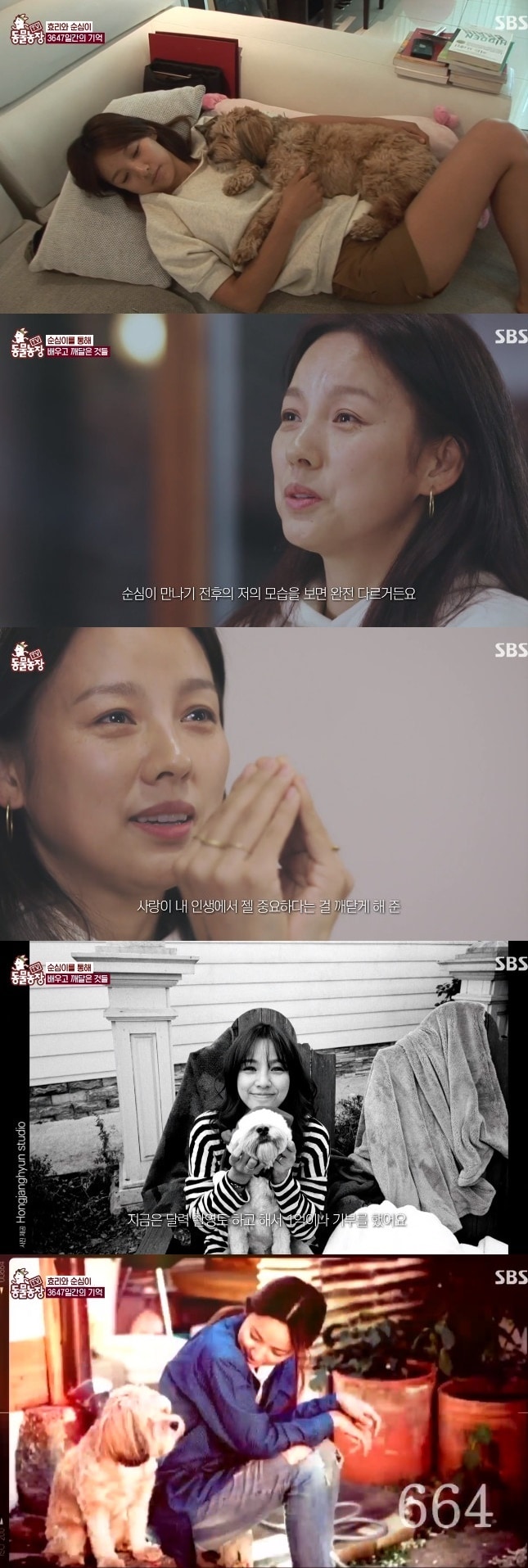 SBS 캡처 ⓒ 뉴스1