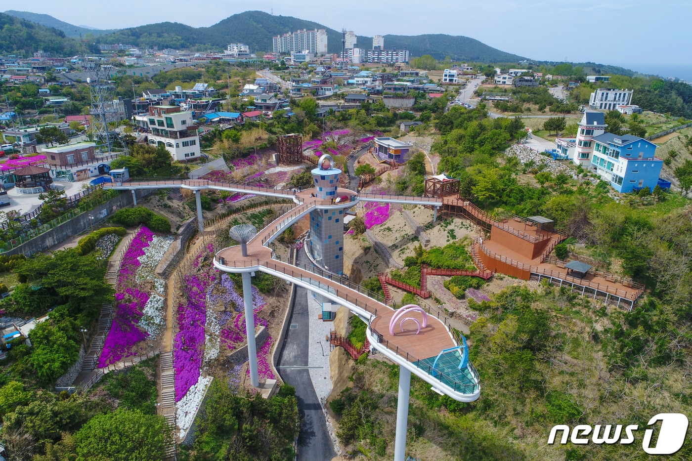 25일 개장하는 동해 도째비골 스카이밸리.(동해시 제공) 2021.6.24./뉴스1
