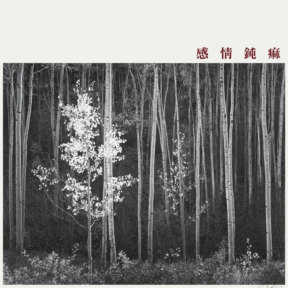 신해경/비스포크 제공 ⓒ 뉴스1