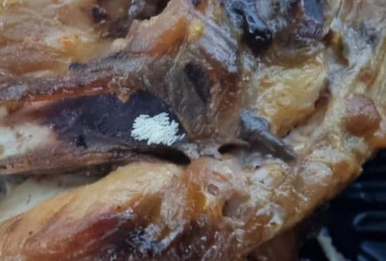 최근 한 누리꾼이 공개한 노점상에서 구매한 닭요리. 뼈 부위에 하얀 파리알들이 붙어있다. (온라인 커뮤니티 갈무리) ⓒ 뉴스1